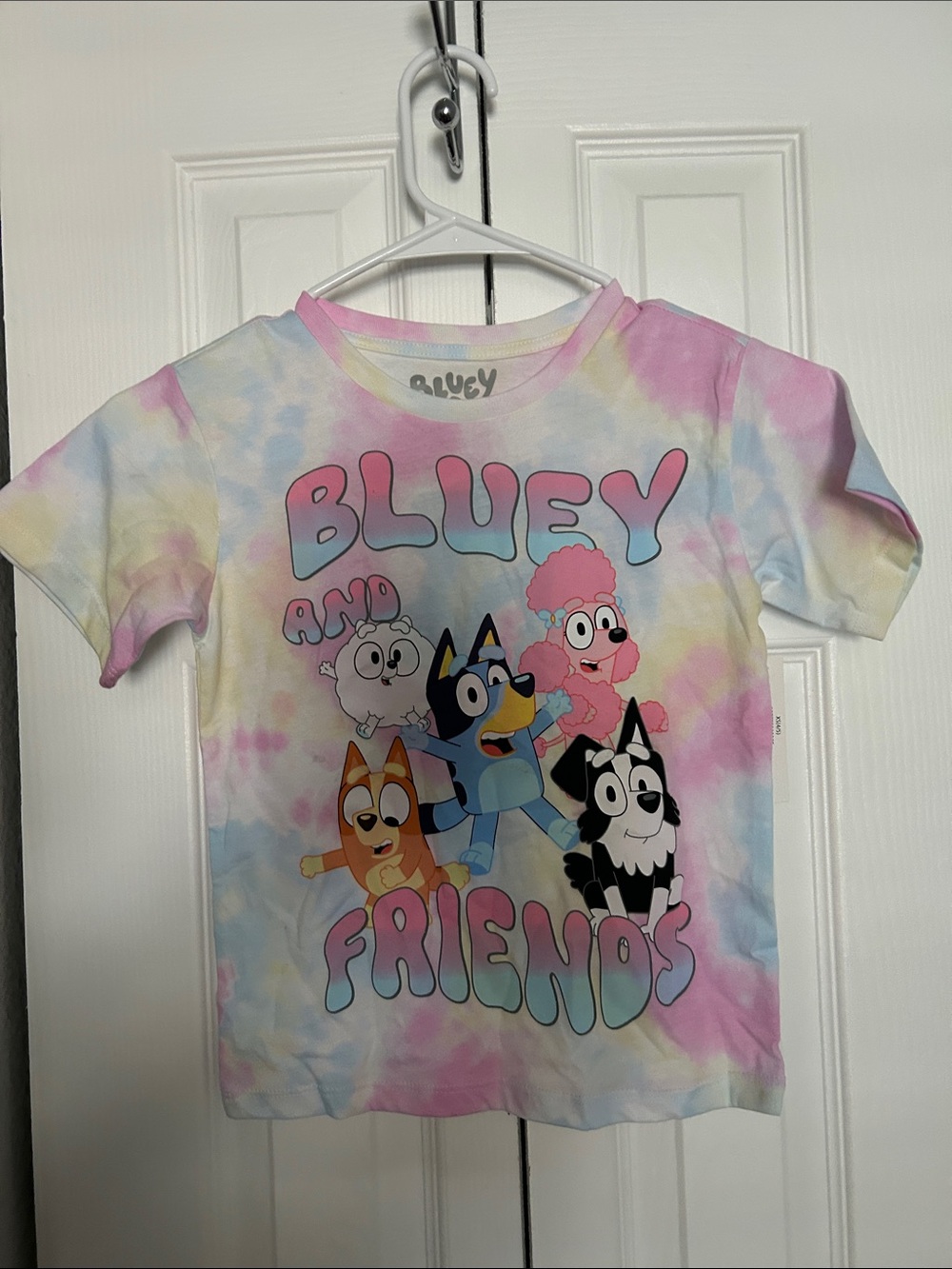 Bluey and Friends Tie-Dye Kids Tee - Girls